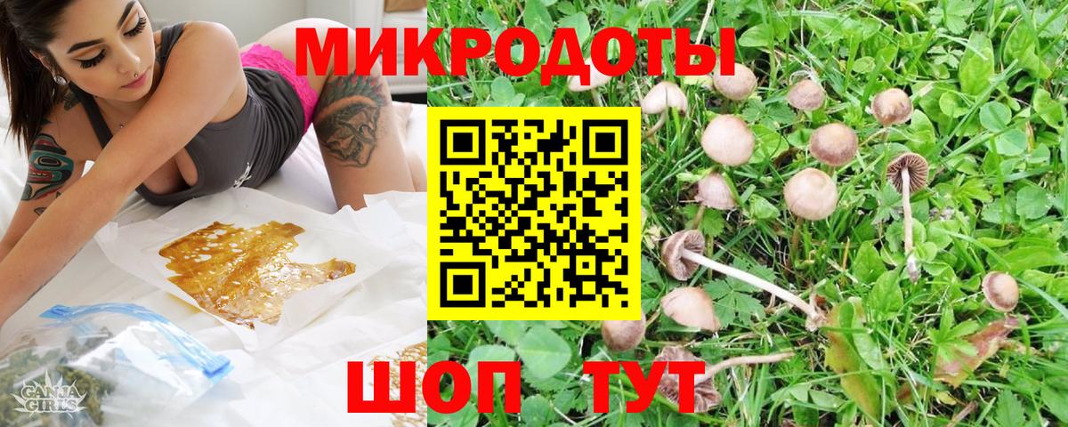 Назрань  Псилоцибиновые грибы Psilocybine cubensis  Вход с VPN 