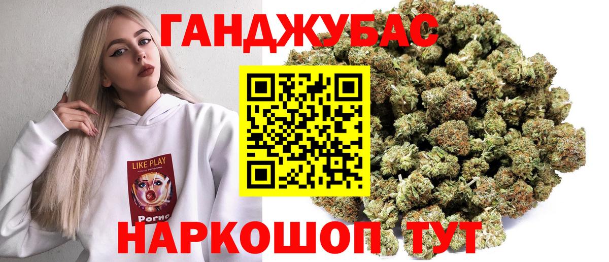 Конопля план  Бошки марихуана план  Вход с VPN  Назрань  Конопля Bruce Banner  Каннабис White Widow 